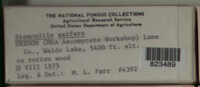 Image Associated With the Occurence